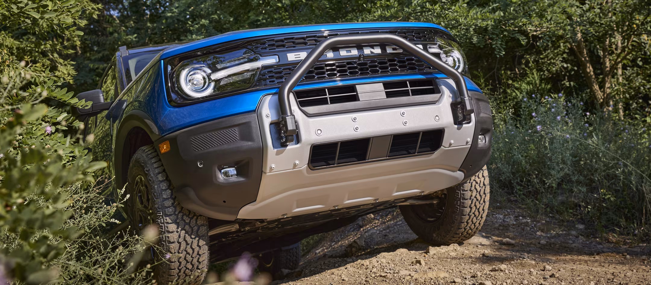 Encuentra tu Ford en Distribuidora David